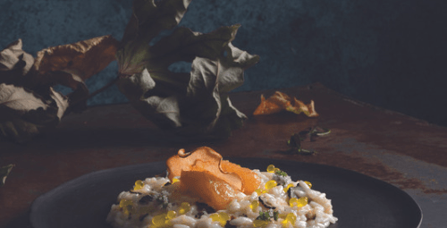 Risotto crémeux à la sauce truffe et au bleu de chèvre